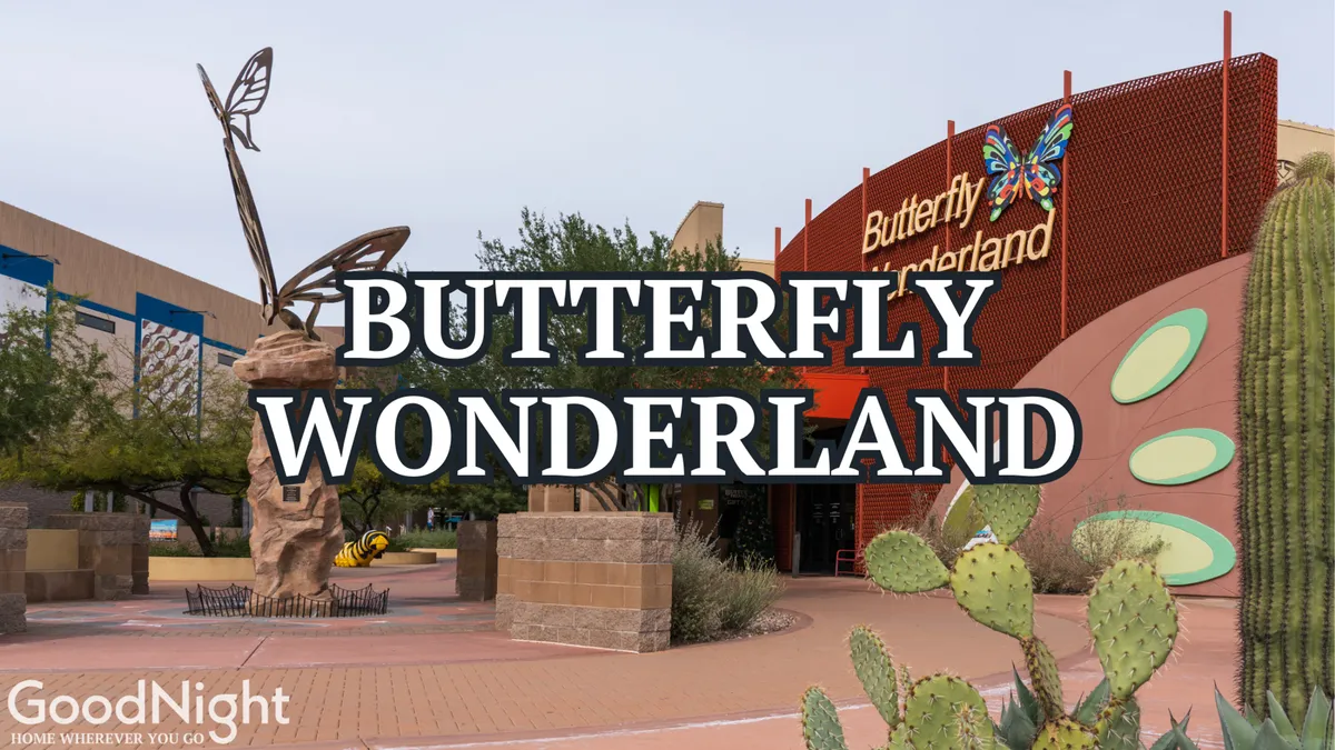 A whimsical exterior shot featuring a large butterfly sculpture and the Butterfly Wonderland sign, surrounded by desert landscaping with cacti. The image conveys a sense of fun and discovery, emphasizing the attraction's visual appeal.