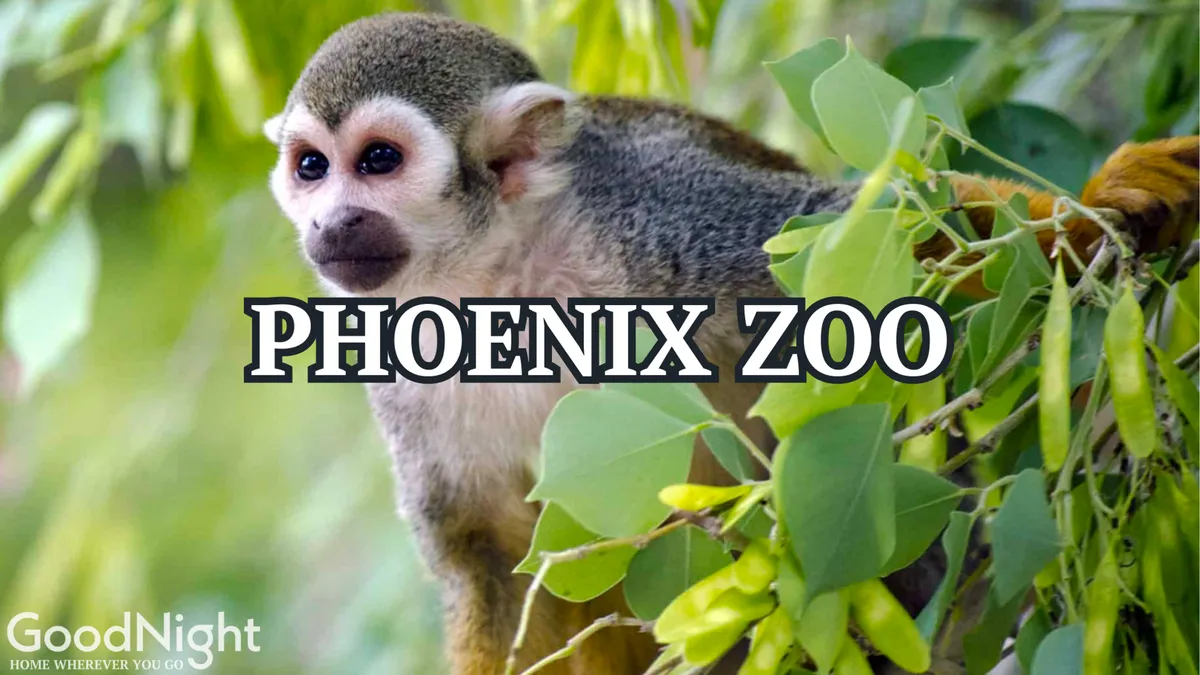 A playful monkey amidst lush green foliage at a zoo exhibit. The setting is vibrant and full of natural greenery, suggesting an engaging and educational wildlife experience for families and children.
